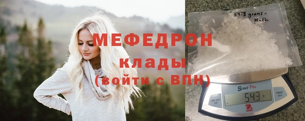 мдпв Вяземский