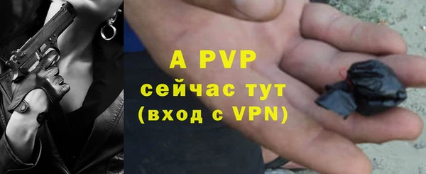 молекула духа Вязьма