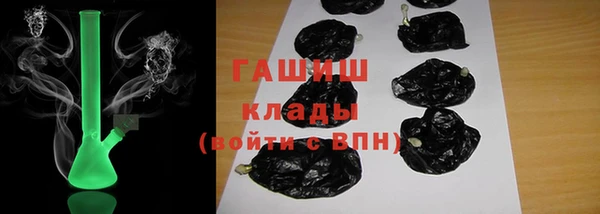 мдпв Вяземский