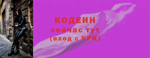 мдпв Вяземский