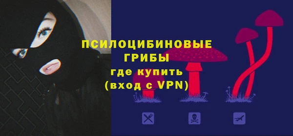 молекула духа Вязьма