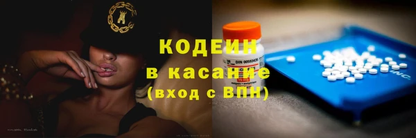 мдпв Вяземский