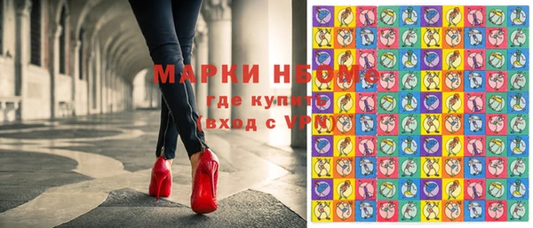 мдпв Вяземский
