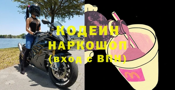 мдпв Вяземский