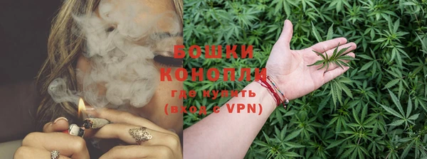 молекула духа Вязьма