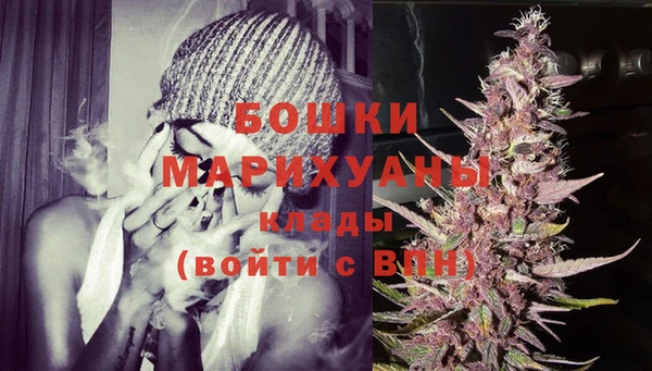 молекула духа Вязьма