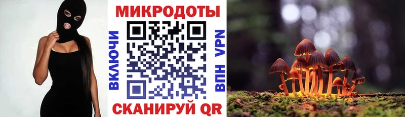 MEGA зеркало  где купить наркоту  дарк нет официальный сайт  Псилоцибиновые грибы Magic Shrooms  Дальнегорск 