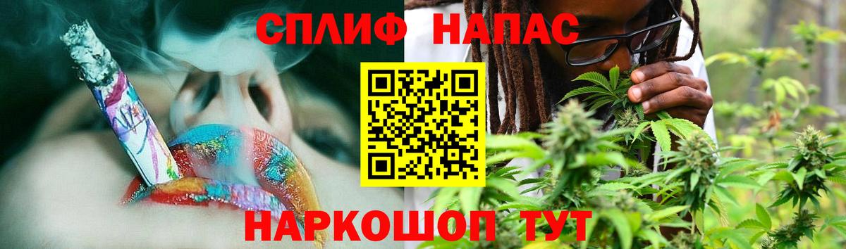 Канабис планчик Дальнегорск